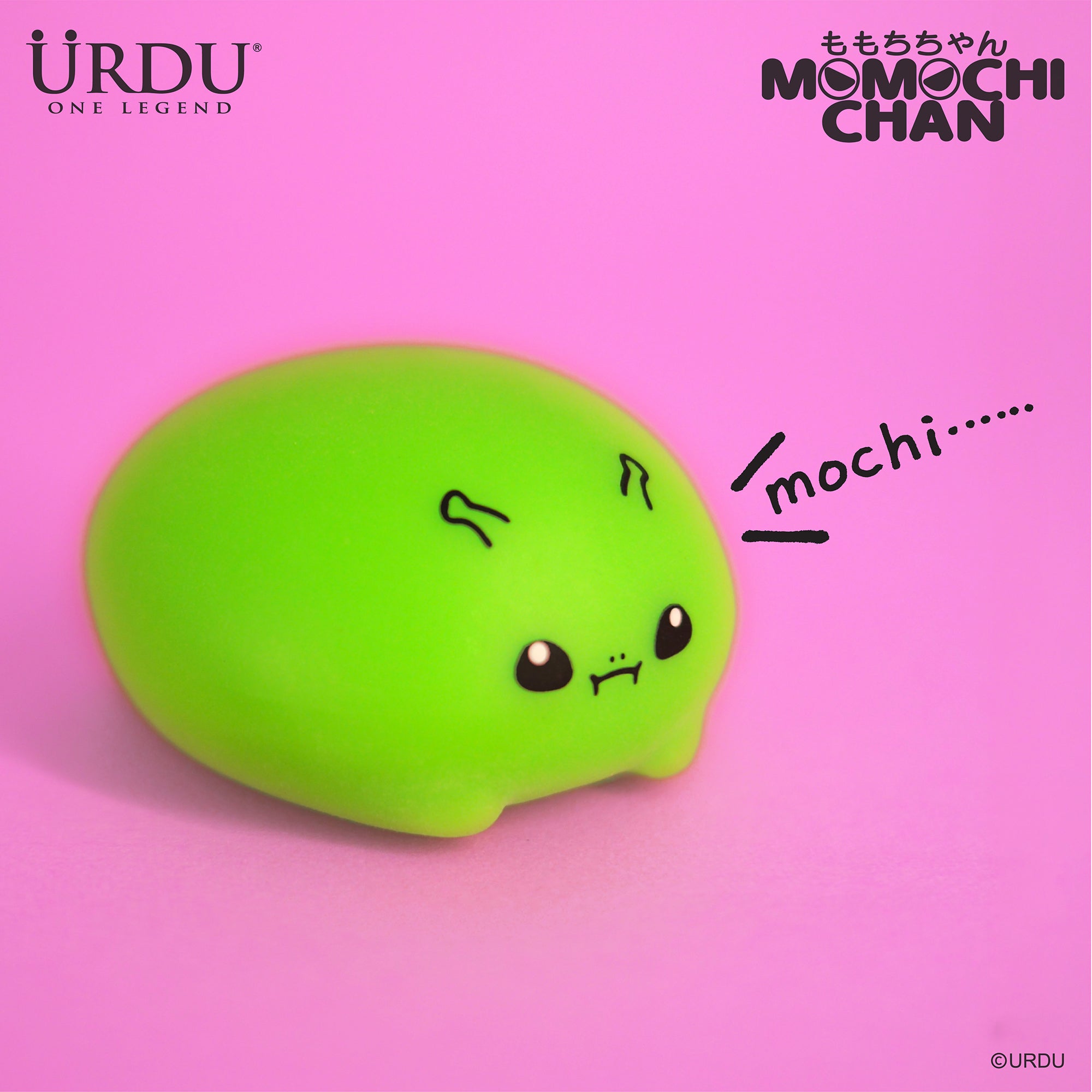 Moochan..*・˚✧₊  URDU Capsule - MOMOCHICHAN Series 2 (Original Box of 6 Model)