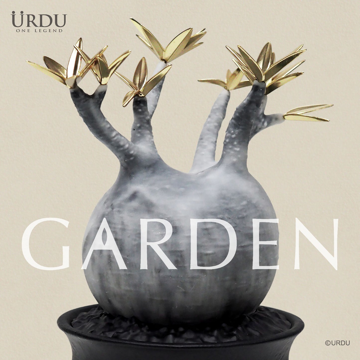 
                  
                    URDU Garden Caudex Plant Series - Pachypodium Gracilius (Moon Version)
                  
                